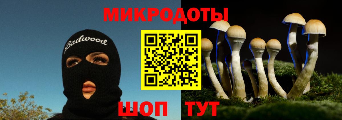 Псилоцибиновые грибы Psilocybe  Галлюциногенные грибы мицелий  Ипатово  Вход с VPN 